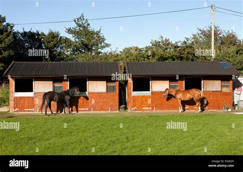 horse stables for hire norfolk.